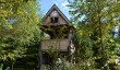 Cuckoo Clock at Westonbury Mill Water.JPG